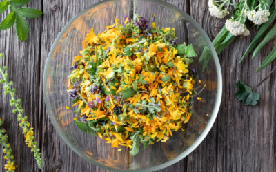 Plantes sauvages comestibles